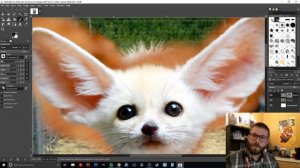 Create an Animal Hybrid with Gimp!