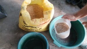 Травим капустянку