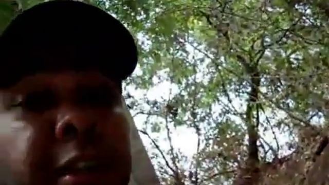 Каймана долбанул электрический угорь смотреть онлайн