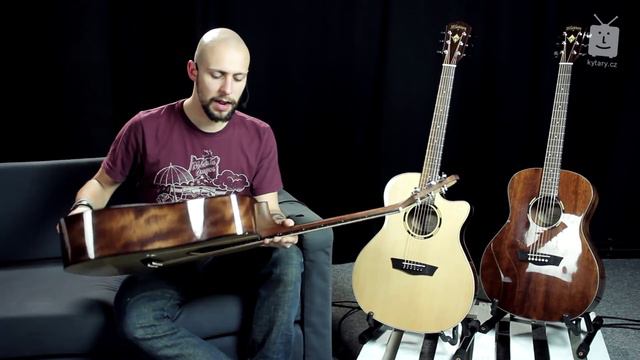 Washburn WLD10S смотреть онлайн