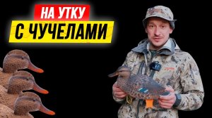 ОХОТА на УТКУ с чучелами ??? Как расставлять чучела уток