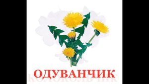 Карточки Домана "цветы".