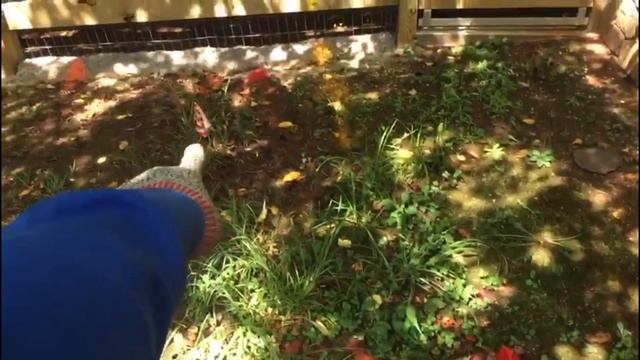 Землянные работы: прокладка pvc трубы для кабеля; трэнчер, (арендованный) и лопаты Электрик-Мастера смотреть онлайн