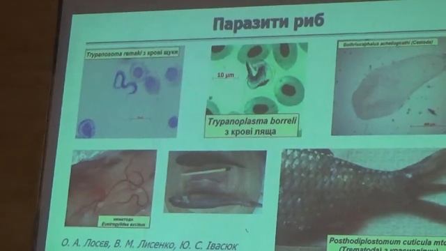 Отдел паразитологии Института зоологии НАНУ, Киев. Харченко В.А. Отчет 2018 г.