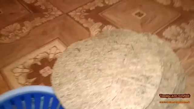 Подкладка в гнезда Кокос смотреть онлайн