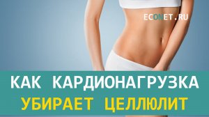 Как кардионагрузка убирает целлюлит