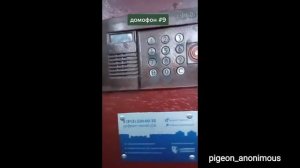 Сборник пранков по домофону #1