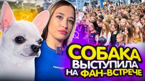 ФАН-ВСТРЕЧА! Собака выступила