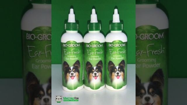 Как правильно чистить уши собаки? Советы от грумера смотреть онлайн