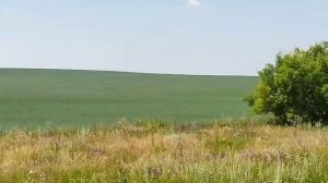 деревни Оренбургской области, бездорожье и куда я врюхкался)) 19 июля 2022 г.