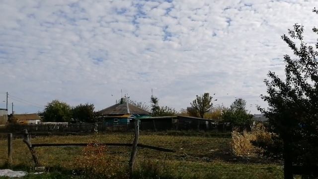 Закрасила ржавую крышу  /Калина под окном  Как женщина выживает  в деревне