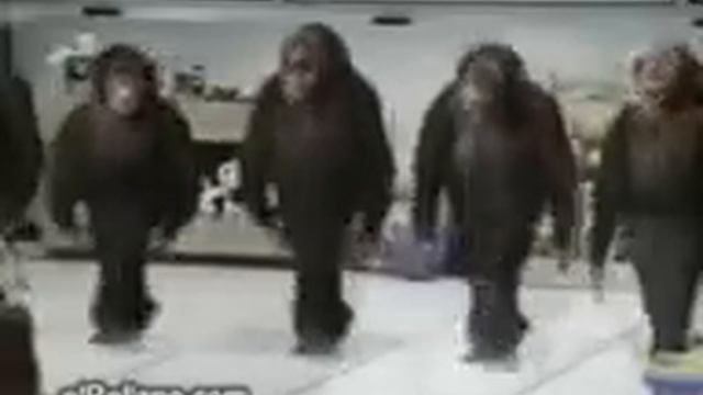 обезьяны смотреть онлайн