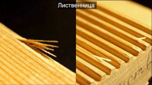 #Мифы о террасе из лиственницы. #Минусы #деревянной #террасы по сравнению с #ДПК