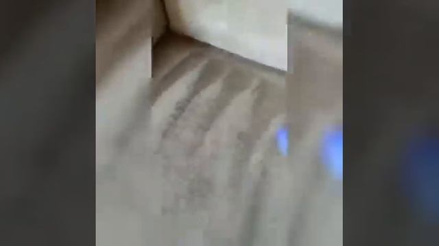Химчистка мягкой мебели от фирмы Скорая помощь Вашим коврам смотреть онлайн