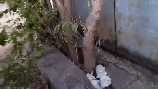 работа на газели /продолжаю вывозить мусор с гаражного кооператива/скоро ремонт/