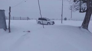 Тойота ленд крузер 200 дизель. Прогулка по снегу 2 часть.