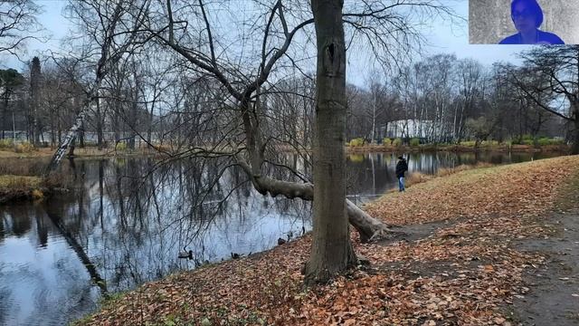 Парки Петербурга: инструкция по применению смотреть онлайн