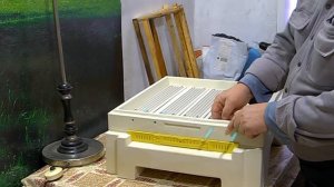 12 рамочный улей bienenhaus - высокое дно и пыльцесборник. Пчеловодство.