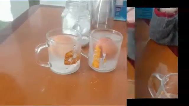 Секреты Красного моря