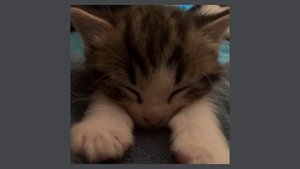 dakooka - умри, если меня не любишь (speed up)