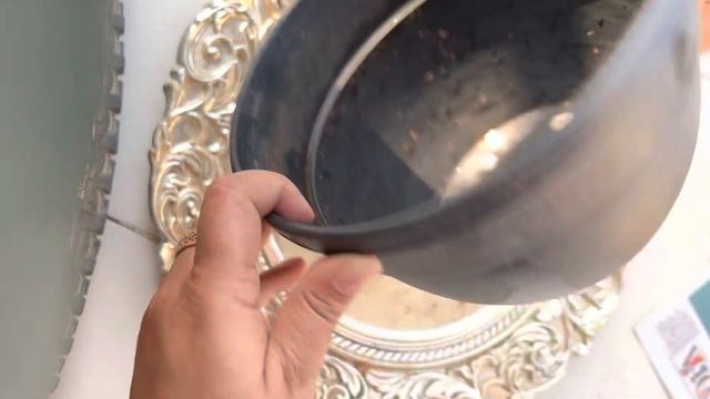 Cereus Peruvianus Monstrose Cactus plant repotting and soil mix for cactus смотреть онлайн