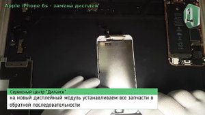 Замена дисплея iPhone 6s. Как разобрать Айфон 6s