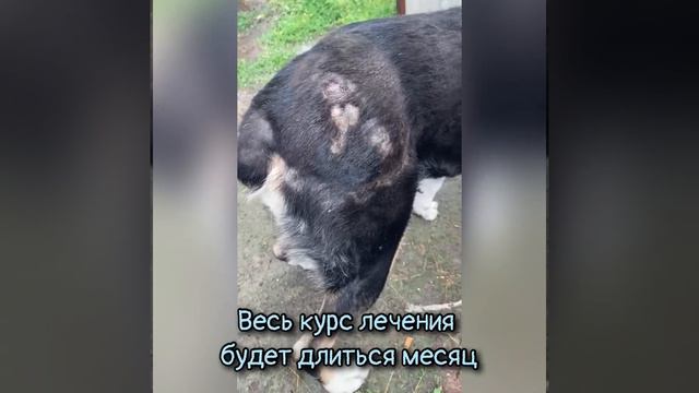 Боль беззащитной смотреть онлайн