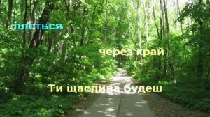 Зелений Гай (Караоке)