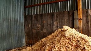 Презентация Белая Холуница