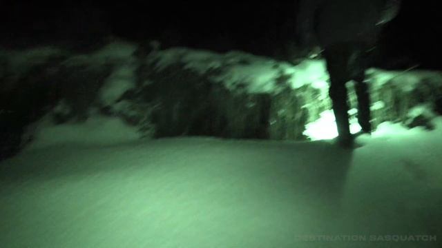 ARMASIGHT Thermal by FLIR +  Night Vision test (investigating tracks) | Destination Sasquatch