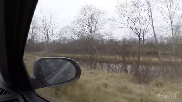 Погоня за бобром смотреть онлайн