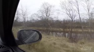 Погоня за бобром