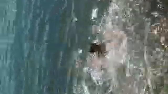 забрали айфон смотреть онлайн