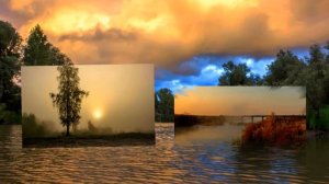 Живёт повсюду красота