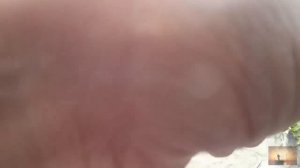 Рыбалка на Дону. Бешенный клев сазана на кукурузу. Рыбалка 2018