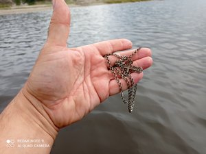 Первая ювелирка на подводно - пляжном поиске в этом году.???. Поиск с металлоискателем .