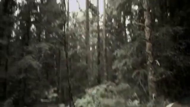 Резня (2008) Ужасы/Триллер HD