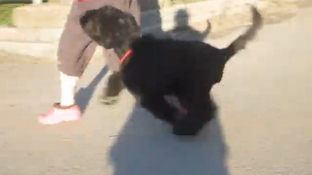 рая 3 месяца 10 дней 1 смотреть онлайн