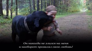 Ротвейлер и ребенок