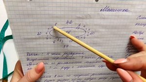 Манишка на взрослого с ростком /Экспресс МК