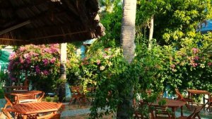 Муйне Palmira resort