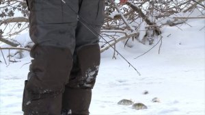 ЗИМНЯЯ Рыбалка. с НОЧЕВКОЙ. Ратлин. Виб. Vib. Не первый лед.Окунь  со льда.