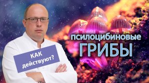 ? Как действуют псилоцибиновые грибы: в чем опасность? ?