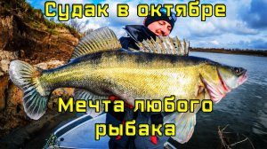 Судак в октябре. Мечта любого рыбака