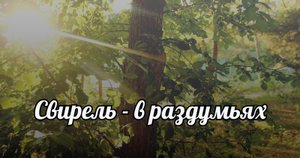 Свирель - в раздумьях