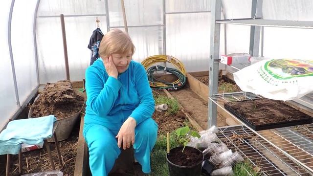 ТЕПЛИЧНЫЙ ОГУРЕЦ смотреть онлайн