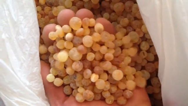 Заготовка под шар из янтаря. Кусанка после пельменницы