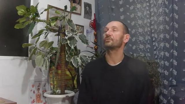 Сатсанг 13.02.19 смотреть онлайн