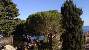 View Over Port de Fontvieille, Monaco