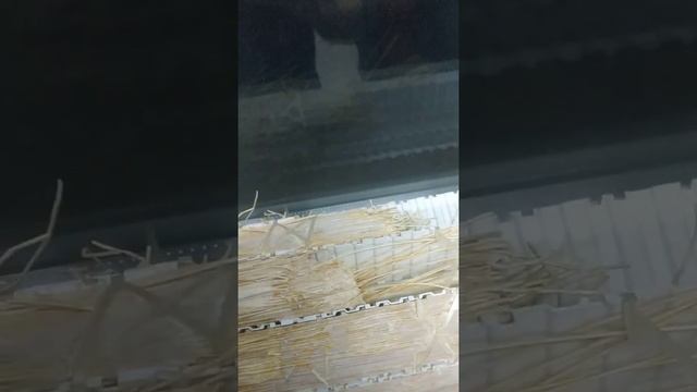 Принцип работы ультрафильтрационной мембраны смотреть онлайн